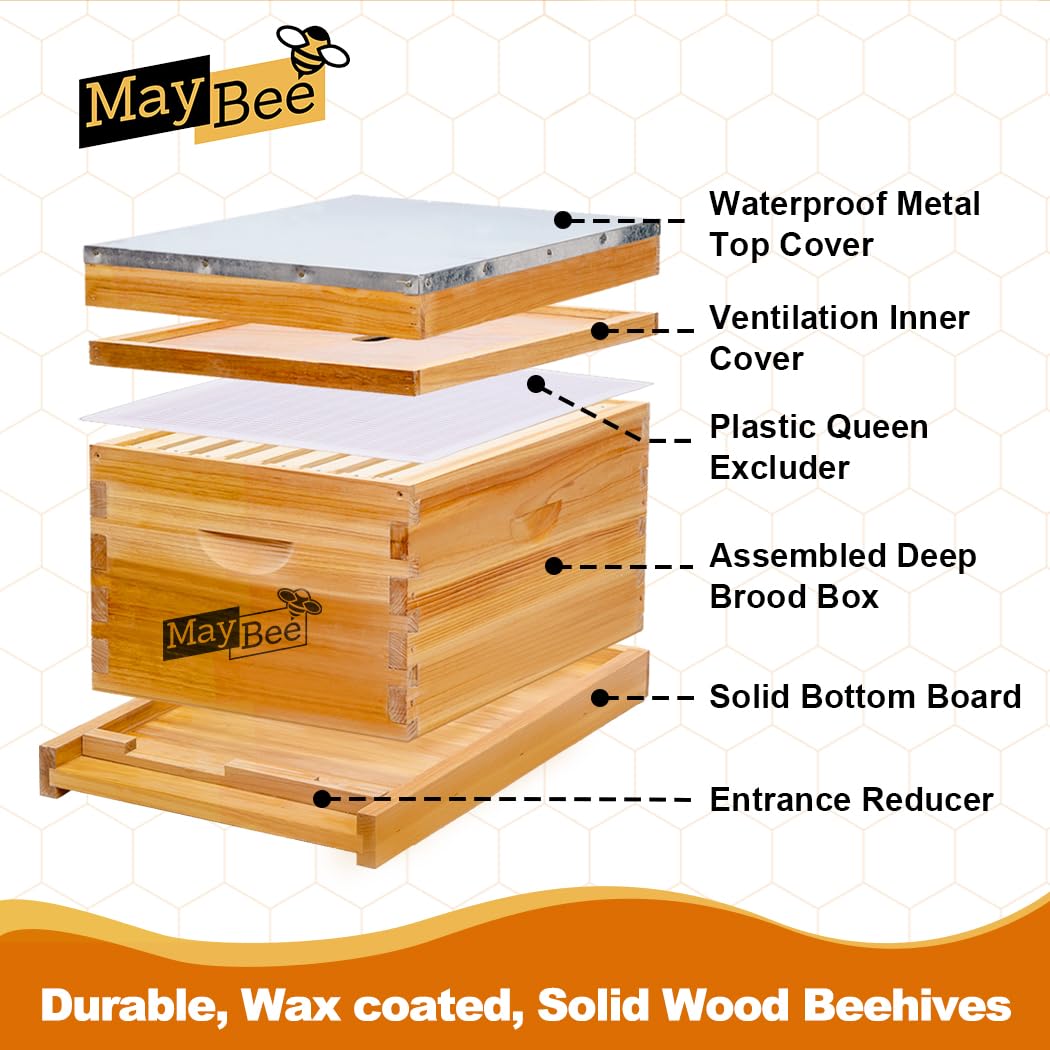 MayBee beekeeping tools and gear kit for comprehensive beginner setup.