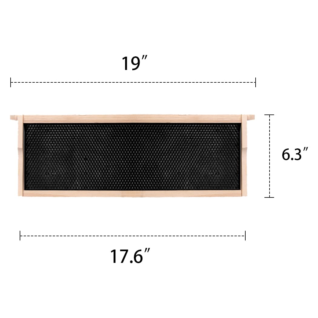 MayBee beeswax-coated food-grade foundation speeds comb building