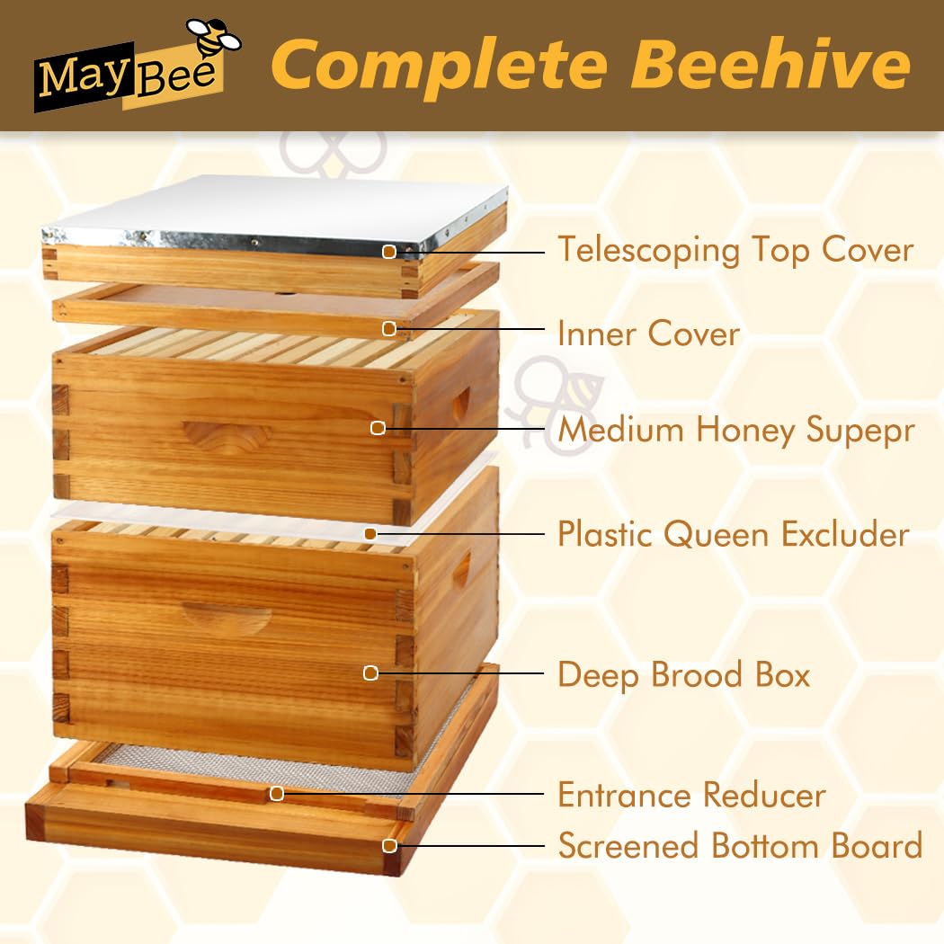 MayBee cedar beehive dipped in beeswax with natural durability