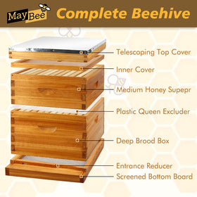 MayBee cedar beehive dipped in beeswax with natural durability