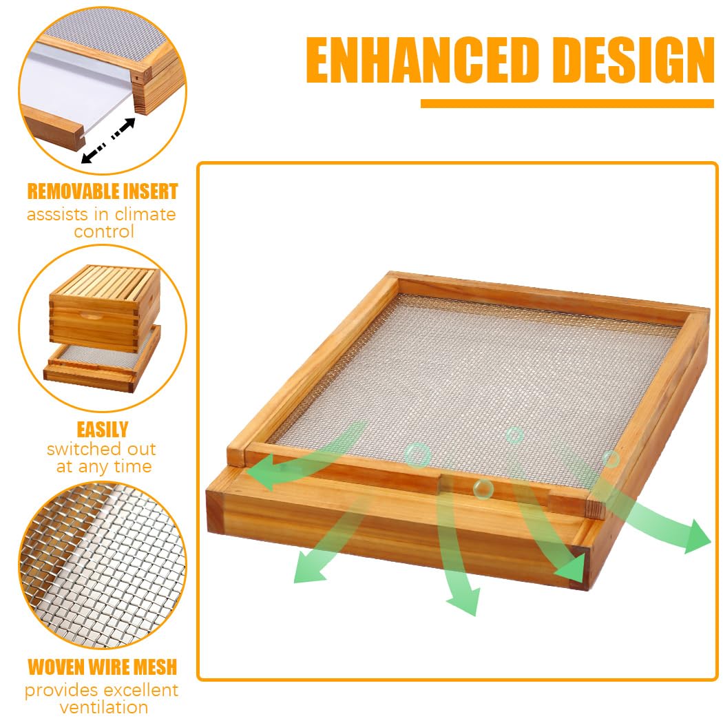 MayBee deep box with frames providing sturdy brood housing