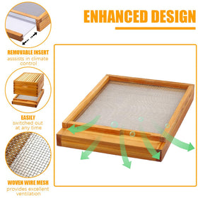 MayBee deep box with frames providing sturdy brood housing