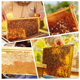 MayBee 9-1-8-Inch deep brood frame dimensions suit standard deep boxes
