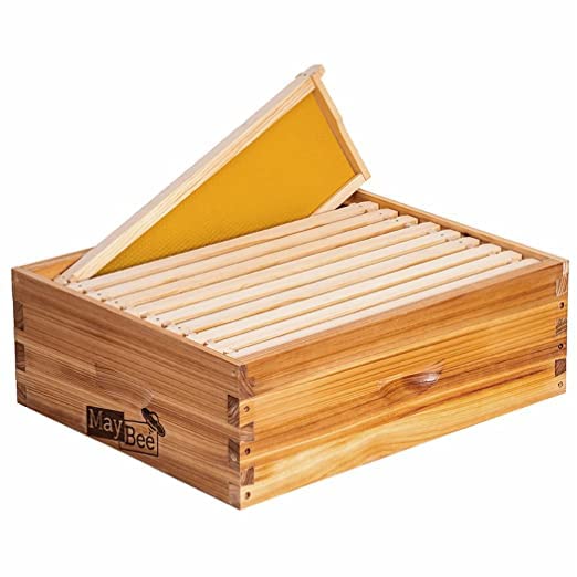 MayBee honey-colored foundations enable quick cell checks without disturbing the brood.