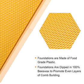 Wax-coated foundation sheets on MayBee frames promote rapid comb development