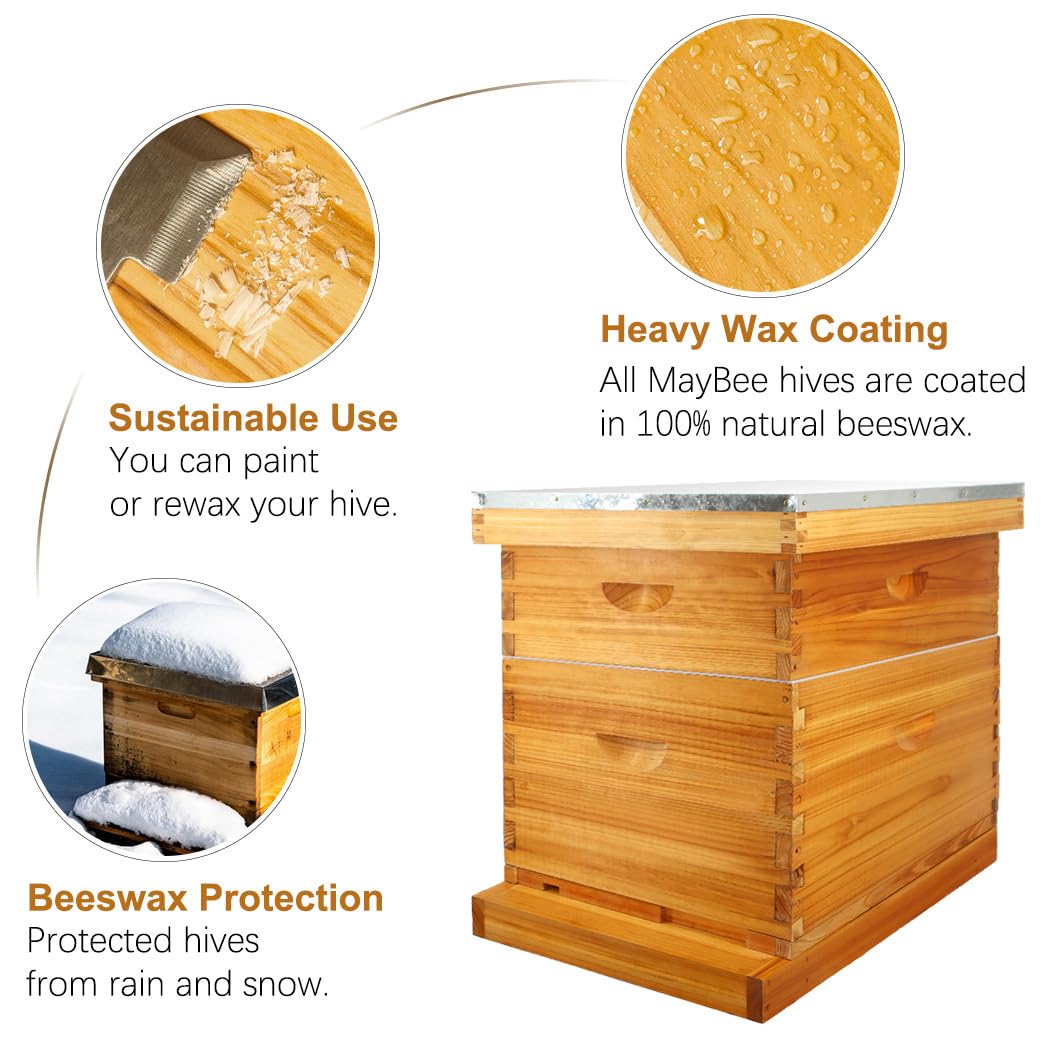 MayBee medium box with frames ideal for expansion and stability