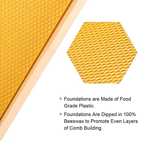 MayBee medium super shows Langstroth-compatible dimensions for flexible hive expansion.
