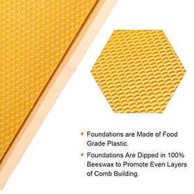 MayBee medium super shows Langstroth-compatible dimensions for flexible hive expansion.