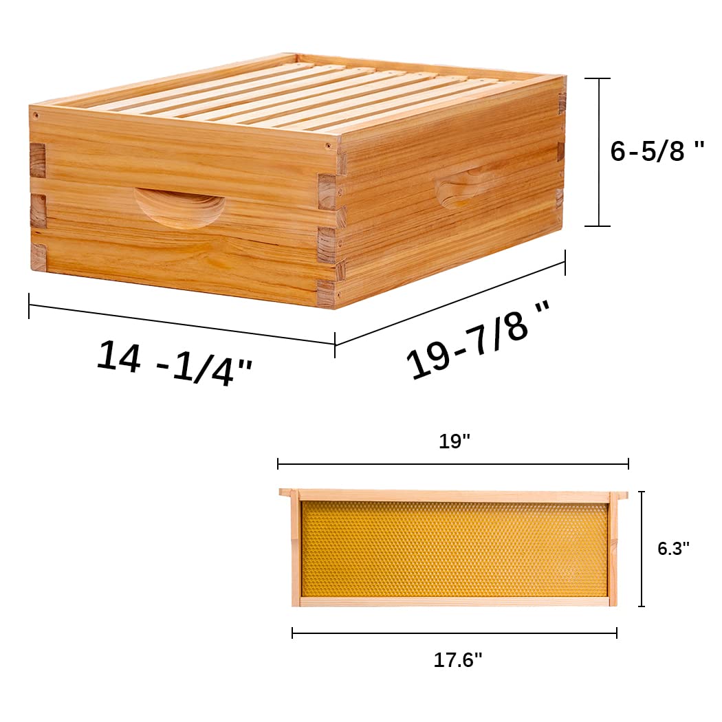 MayBee New Zealand pine frames provide sturdy, reliable hive assembly.