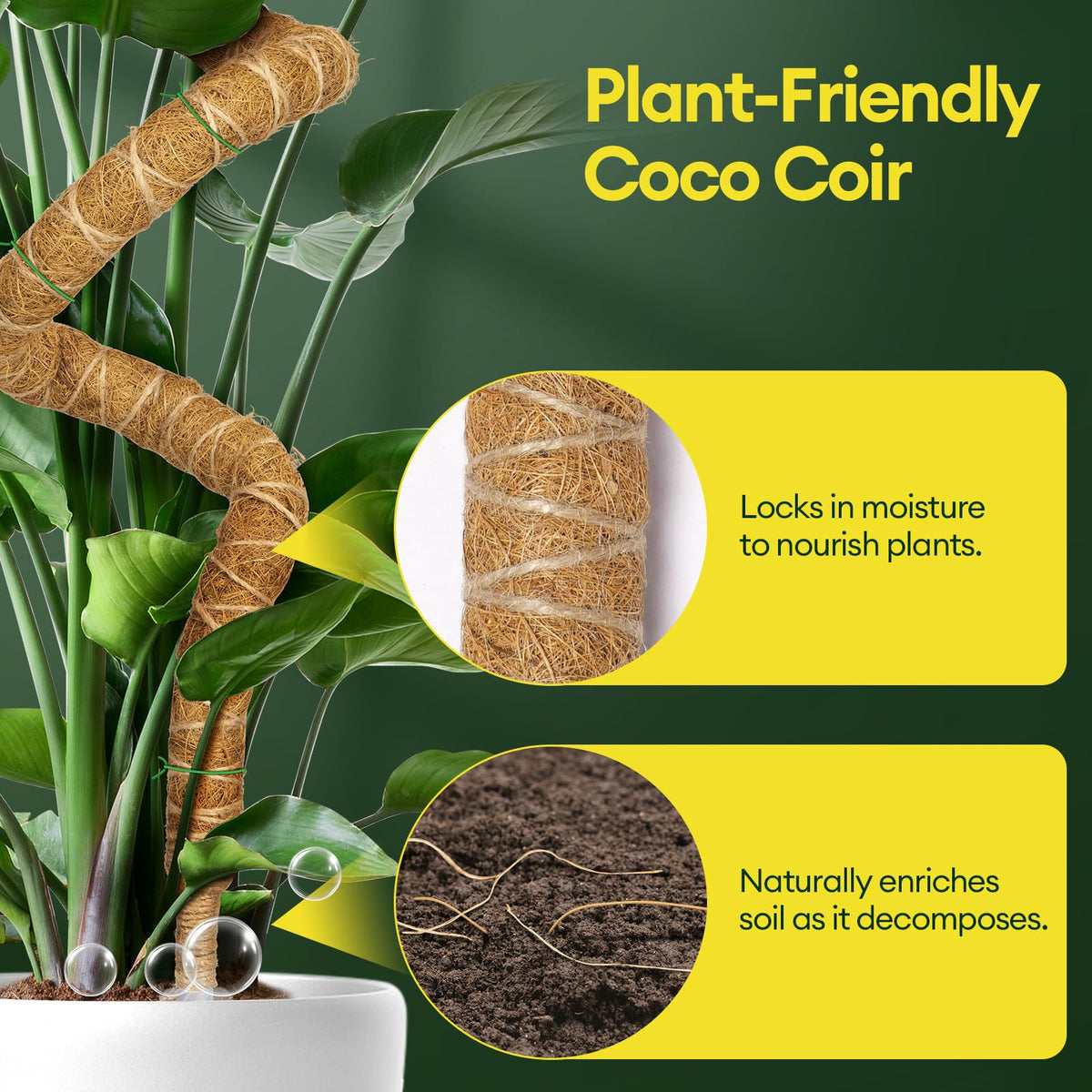 Maygrove coco coir moss pole shows natural texture for plant moisture delivery