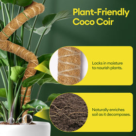 Maygrove coco coir moss pole shows natural texture for plant moisture delivery
