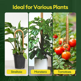 Maygrove natural jute rope adds extra securing options for climbing plants