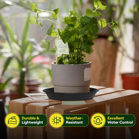 Maygrove 10 inch black saucer supports indoor plants with reliable water containment