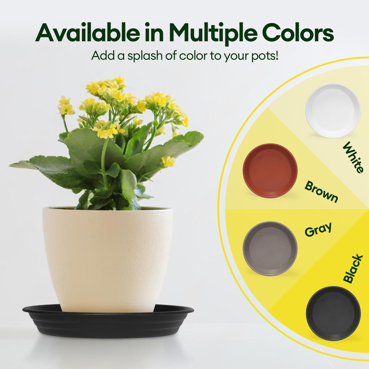 Maygrove versatile saucer suits pots, grow bags, and bird baths