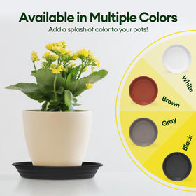 Maygrove versatile saucer suits pots, grow bags, and bird baths