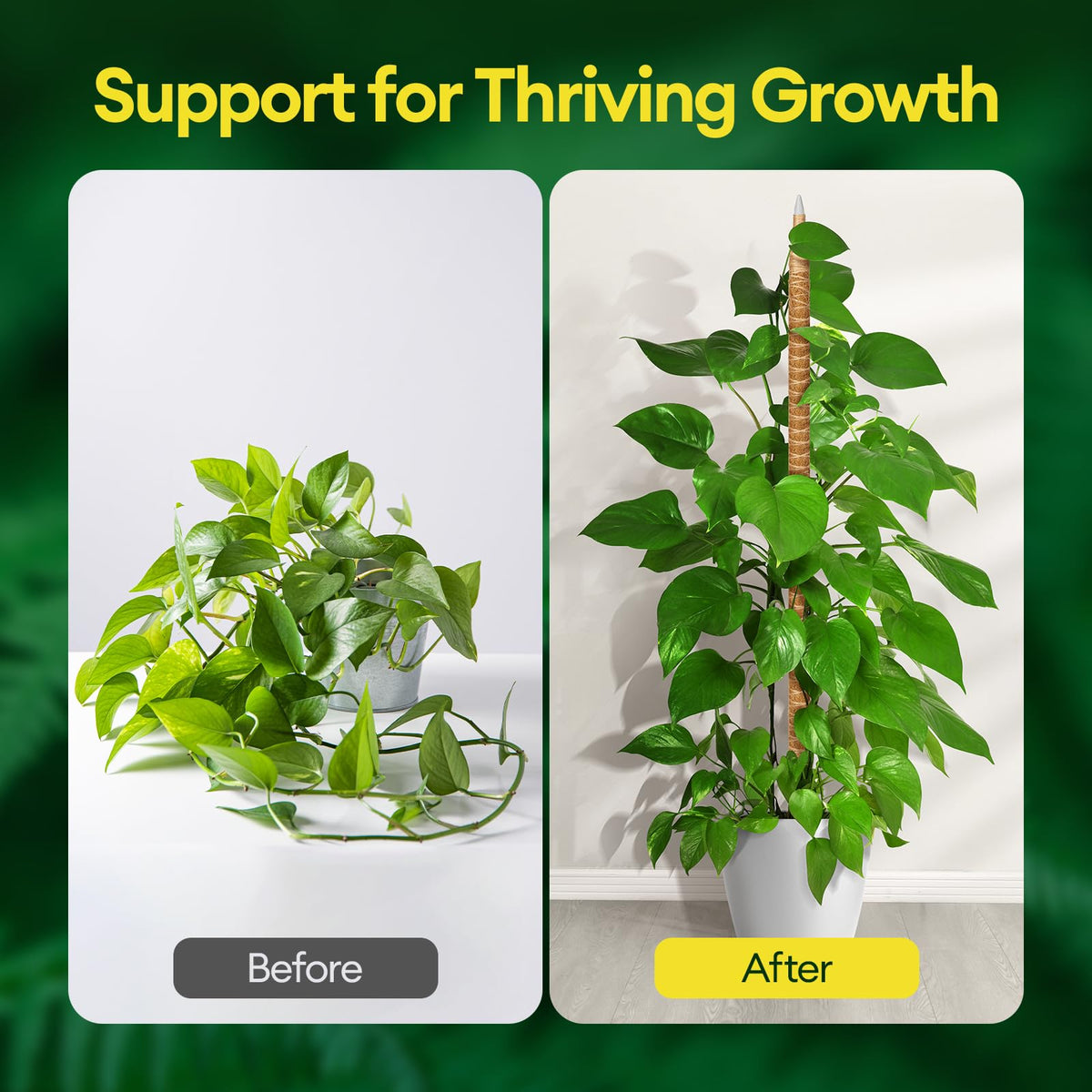 Maygrove self adhesive ties offer quick dependable plant attachment