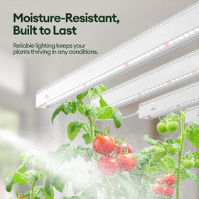 Maygrove T5 Grow Light daisy-chain compatibility enables scalable setups.