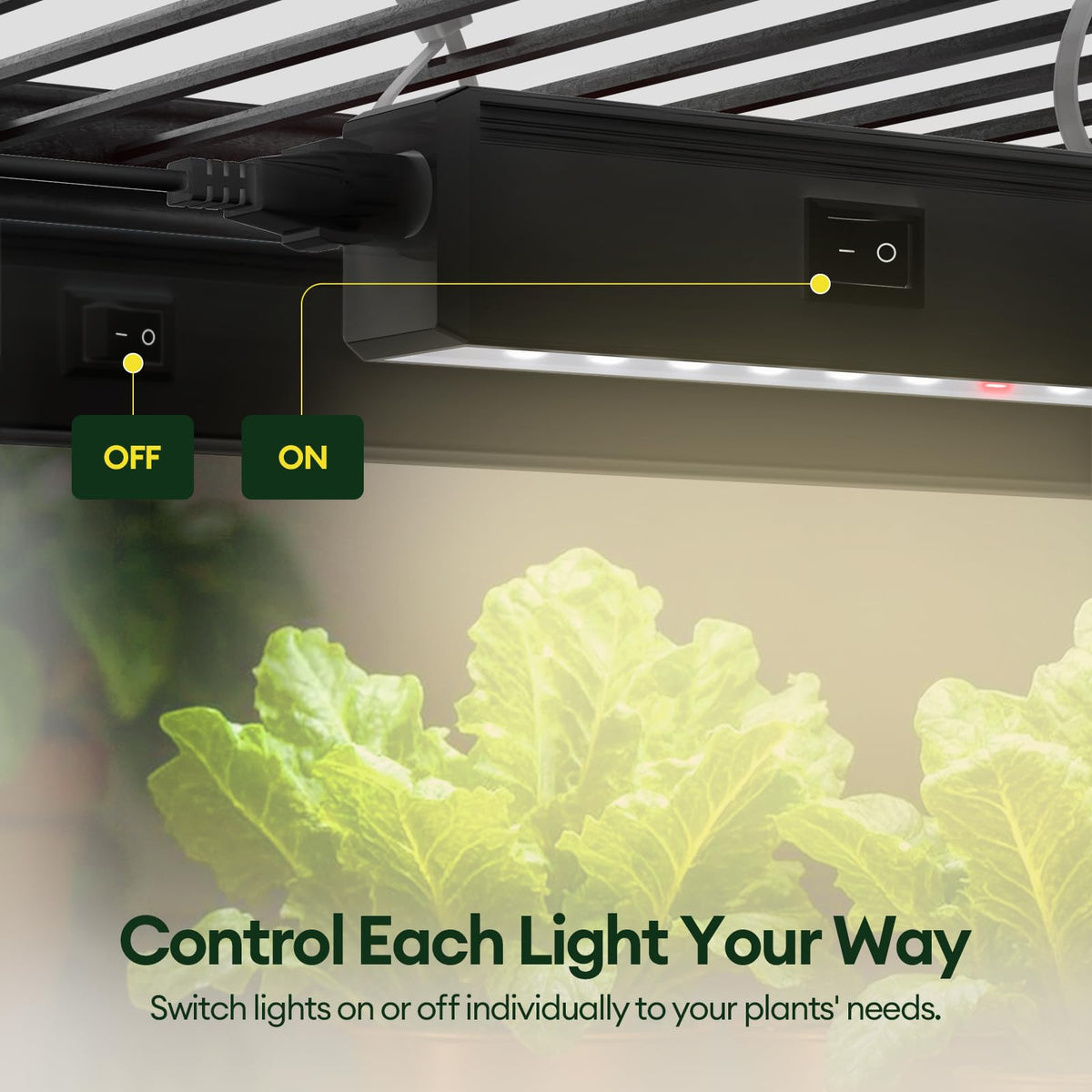 Maygrove T5 grow lights in a daisy chain for scalable coverage