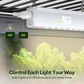 Maygrove T5 Grow Light on greenhouse shelves supports steady growth.