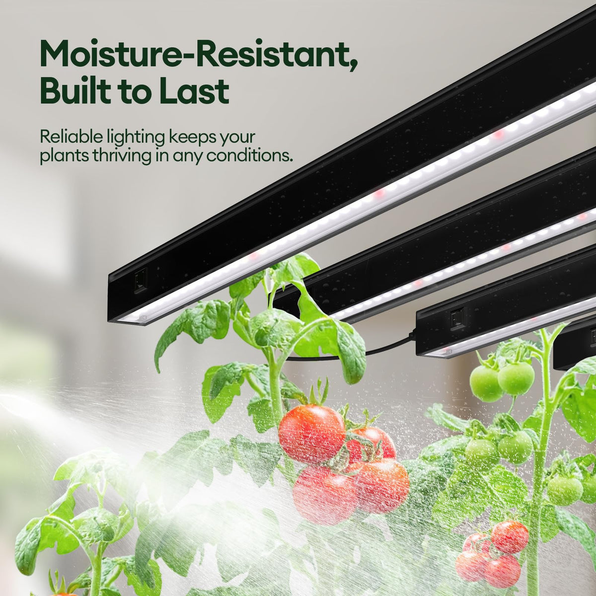 Maygrove T5 grow light with individual switch for per-strip control