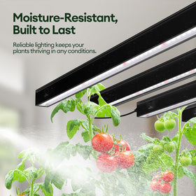 Maygrove T5 grow light with individual switch for per-strip control