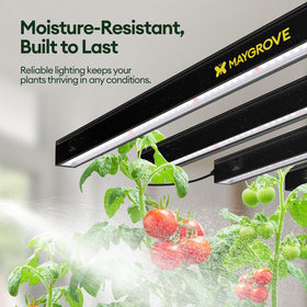 Maygrove T5 IP63 body withstands indoor humidity.
