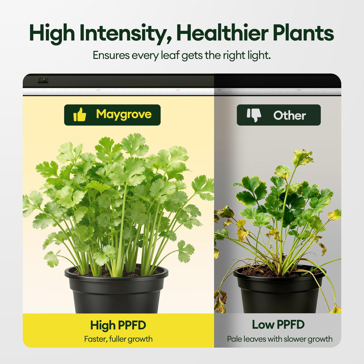 Maygrove T5 grow light mounted on a shelf for space-saving use