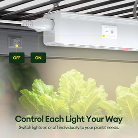 Maygrove T5 daisy-chain connect enables scalable multi-light setups