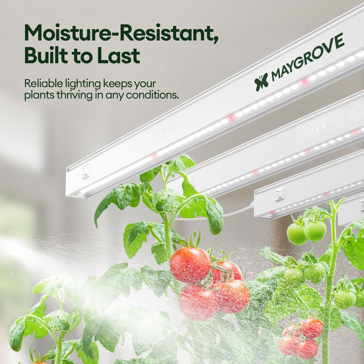 Maygrove T5 individual on-off switches offer customizable light control