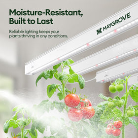 Maygrove T5 individual on-off switches offer customizable light control