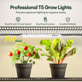 Maygrove T5 red-enhanced spectrum delivers deeper red light for vigorous growth