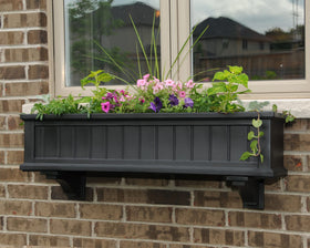 Mayne Cape Cod window box on urban patio adds vibrant color.