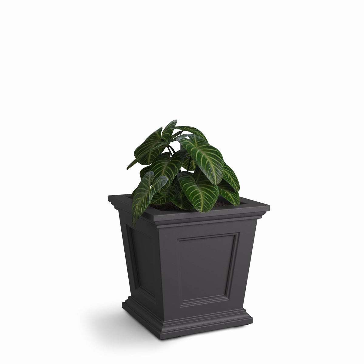 Mayne Fairfield 16-inch square planter with self-watering for healthy plants