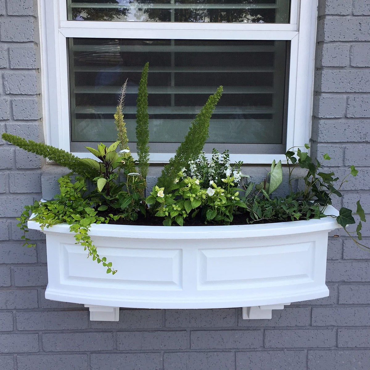 Mayne Nantucket window box in use shows lush seasonal color outdoors.