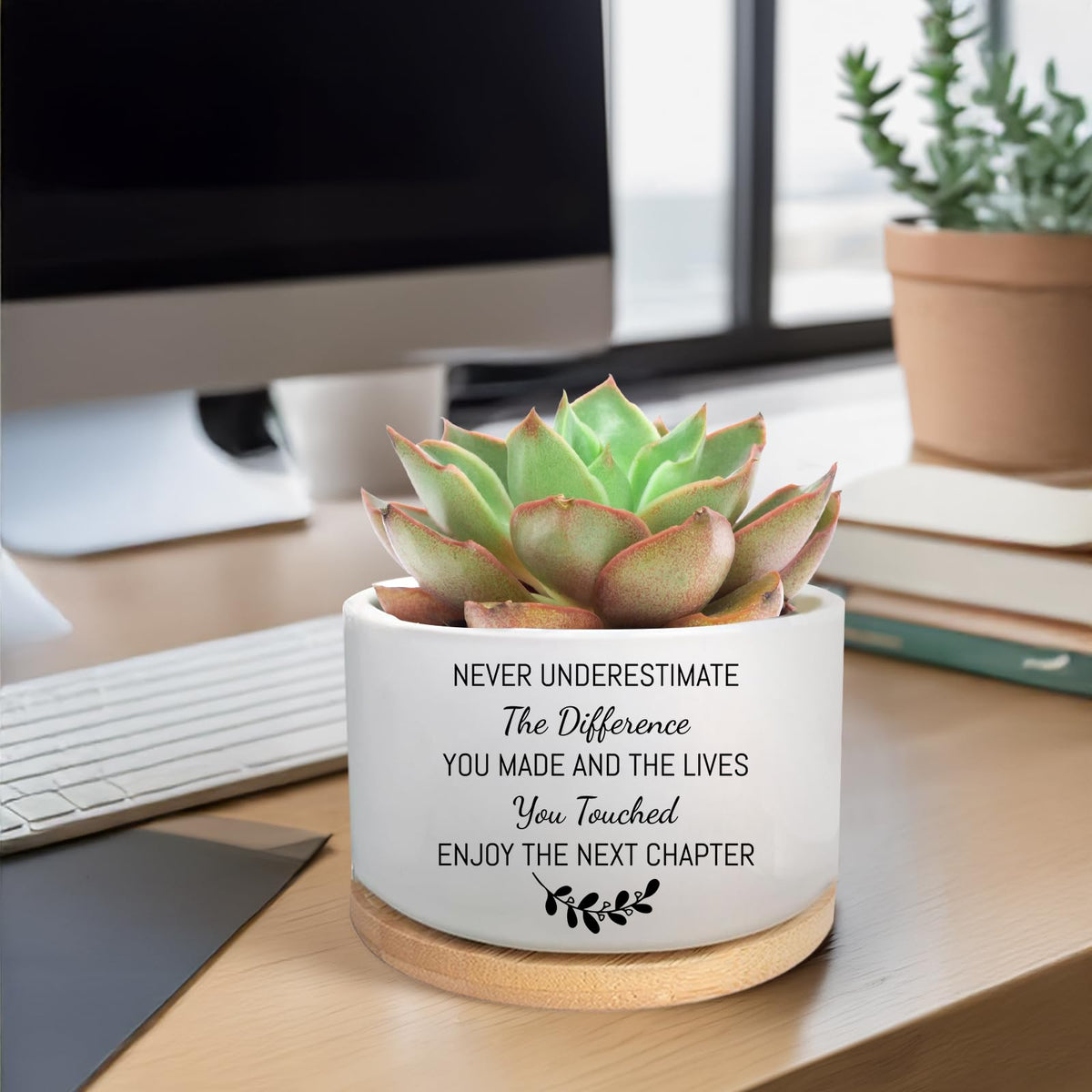 MBRUH planter with drainage hole and wood saucer protects surfaces