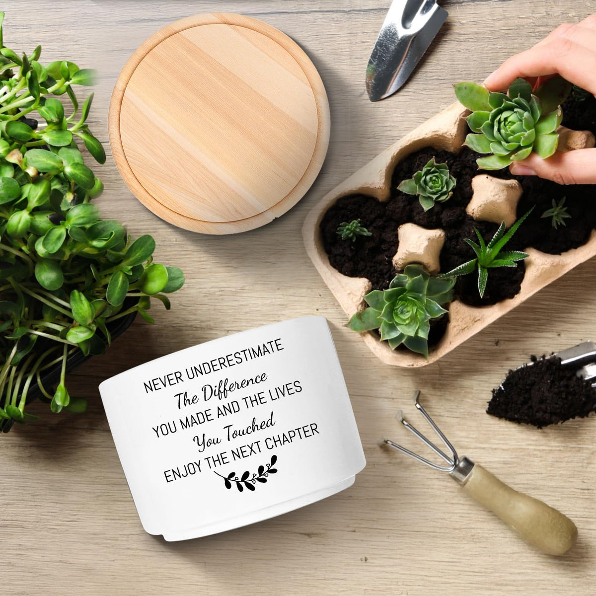 MBRUH succulent pot with drainage for healthy root growth