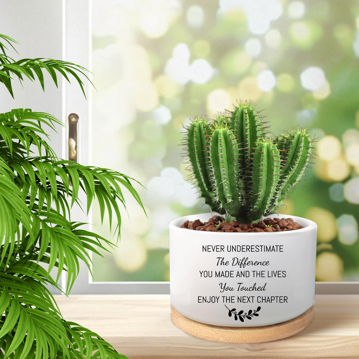 MBRUH compact 3.5-inch planter fits desktops and windowsills