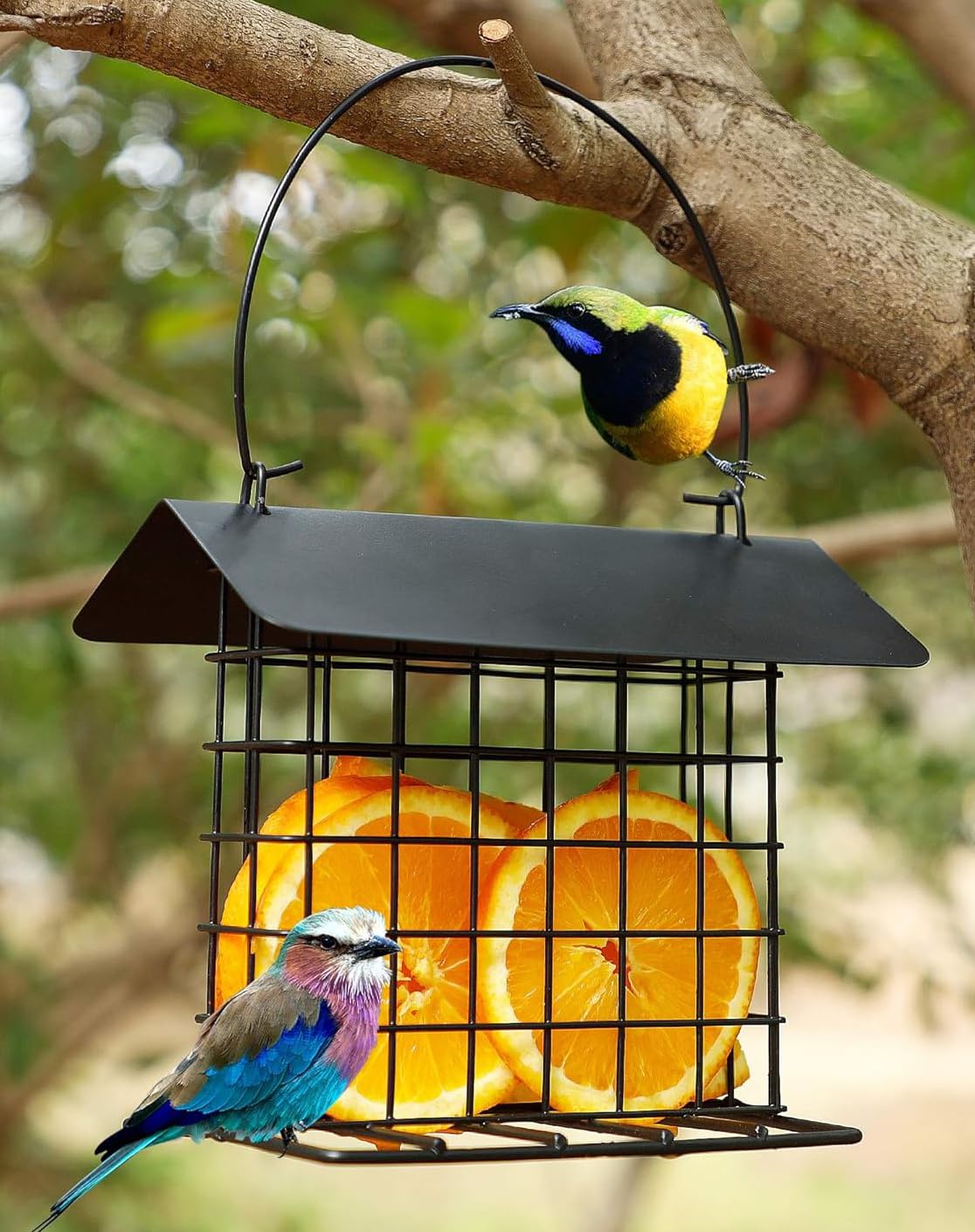 Mcage outdoor bird feeder in garden view with stand enabling easy yard feeding.