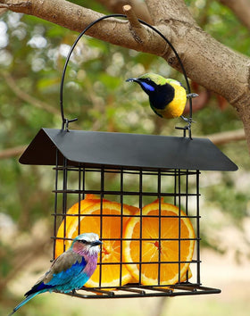 Mcage outdoor bird feeder in garden view with stand enabling easy yard feeding.