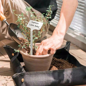 MCEUS tilted plant marker makes reading from standing position simple and fast.
