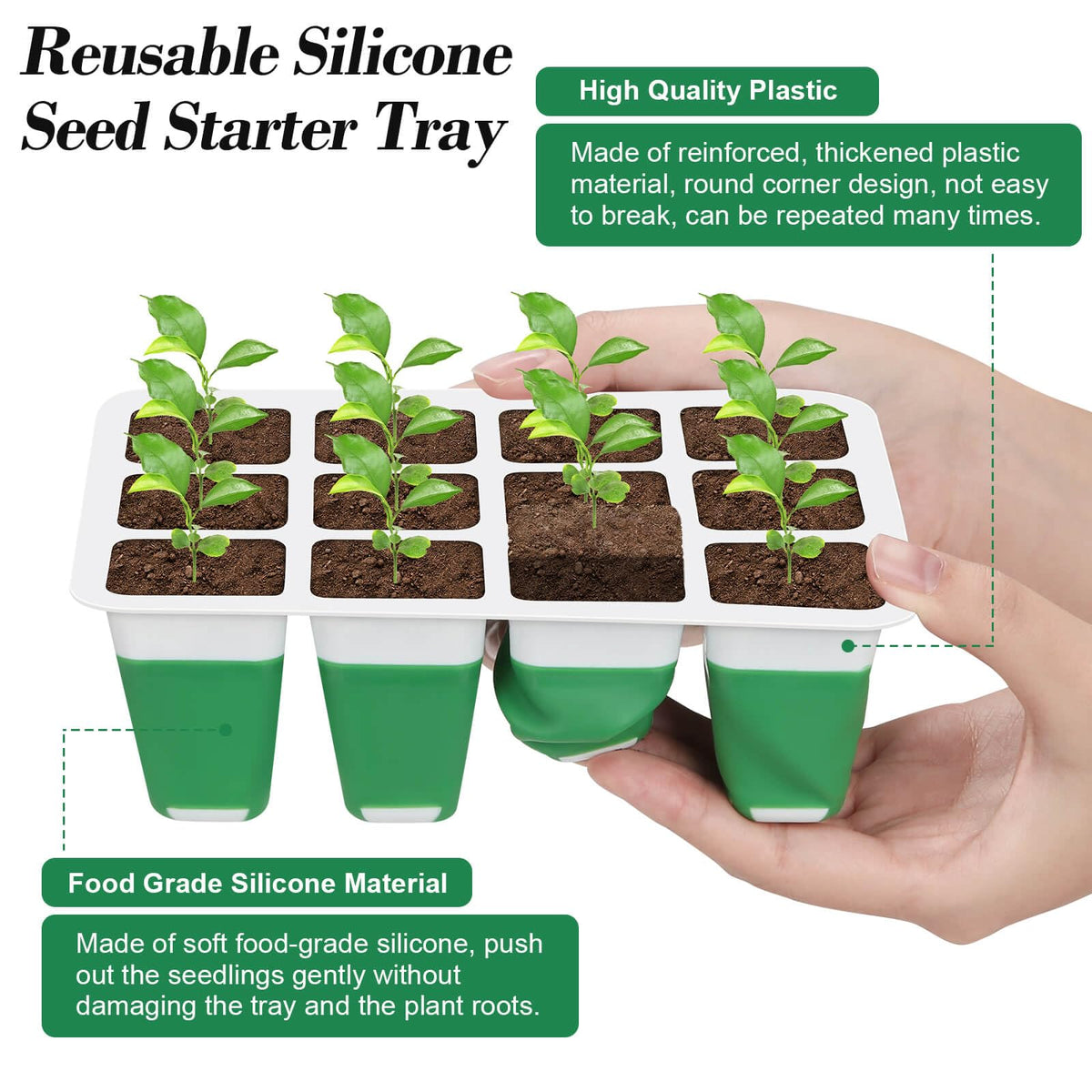 Mckanti seed starter tray root preservation during transplant into outdoor garden.