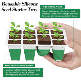 Mckanti seed starter tray root preservation during transplant into outdoor garden.