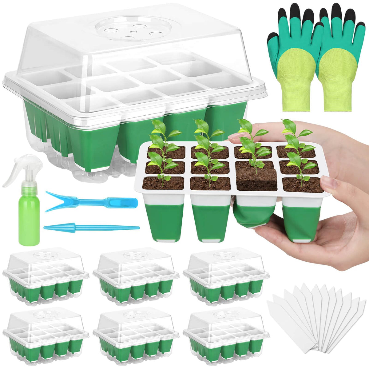 Mckanti seed starter tray top view with dome for easy observation.