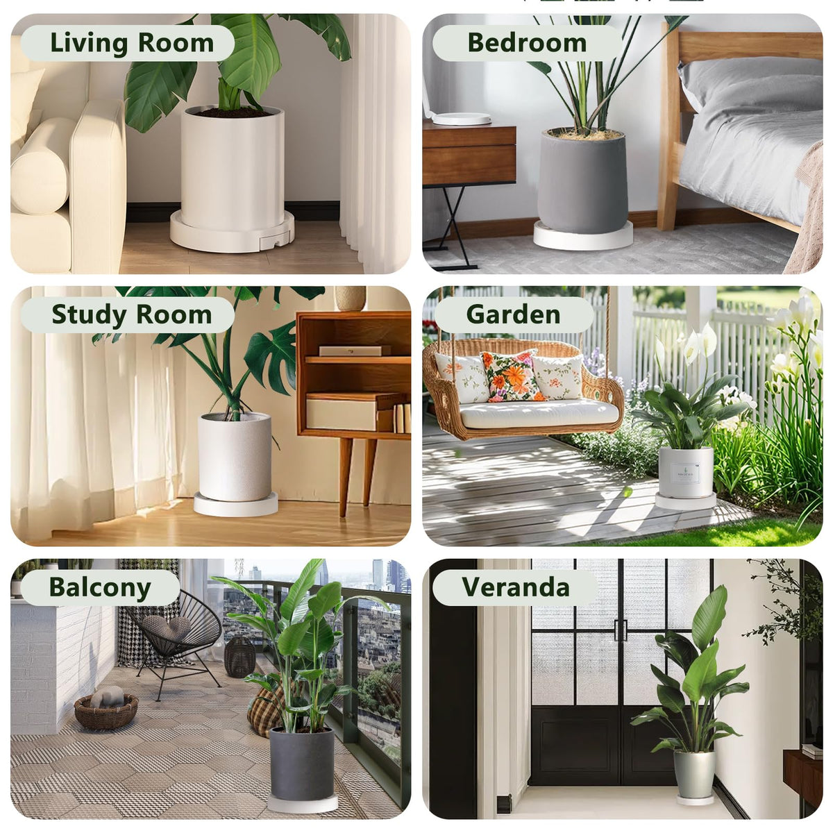 MCleanPin ready-to-use plant mover for indoor and outdoor setups.