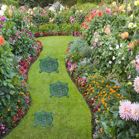 MDLUU tortoise stepping stone garden-path view ideal for decorative walkways