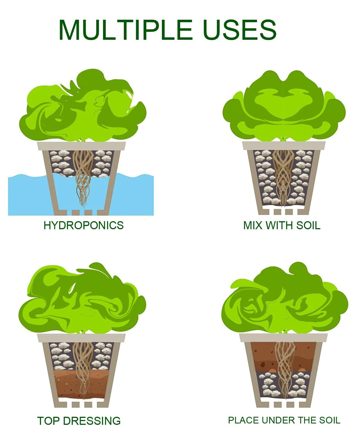 MDPQT Bonsai potting with pumice demonstrates drainage support.
