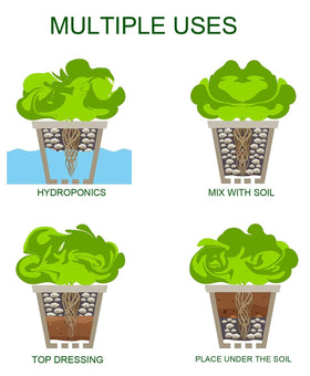 MDPQT Bonsai potting with pumice demonstrates drainage support.