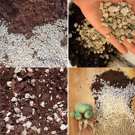 MDPQT Organic Pumice ready for bonsai and container garden applications.