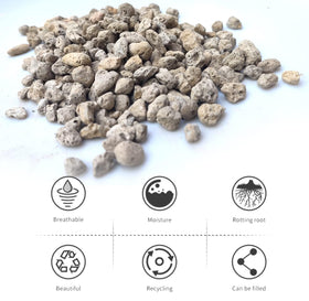 MDPQT pumice drainage layer shown in soil mix.