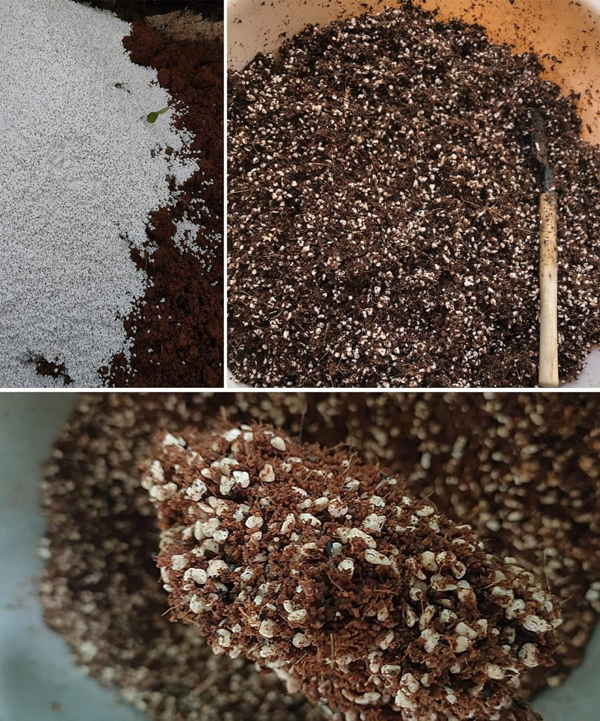MDPQT drainage-focused mix image suggests healthier roots and less compaction